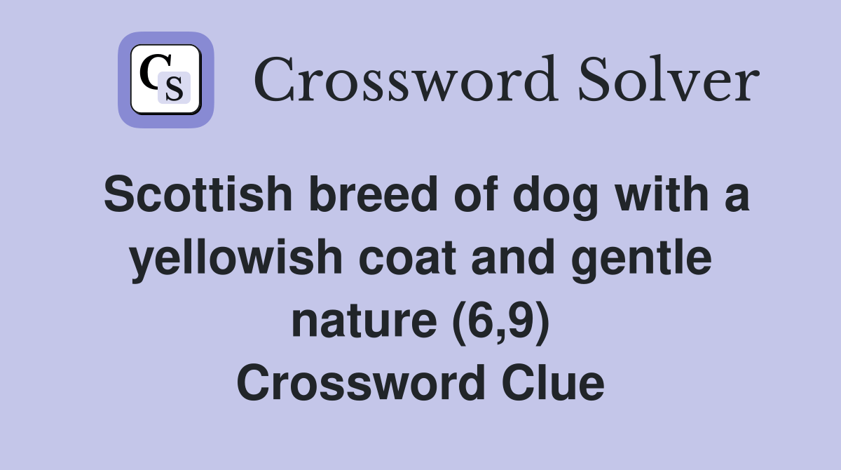 Scottish breed of dog with a yellowish coat and gentle nature (6,9